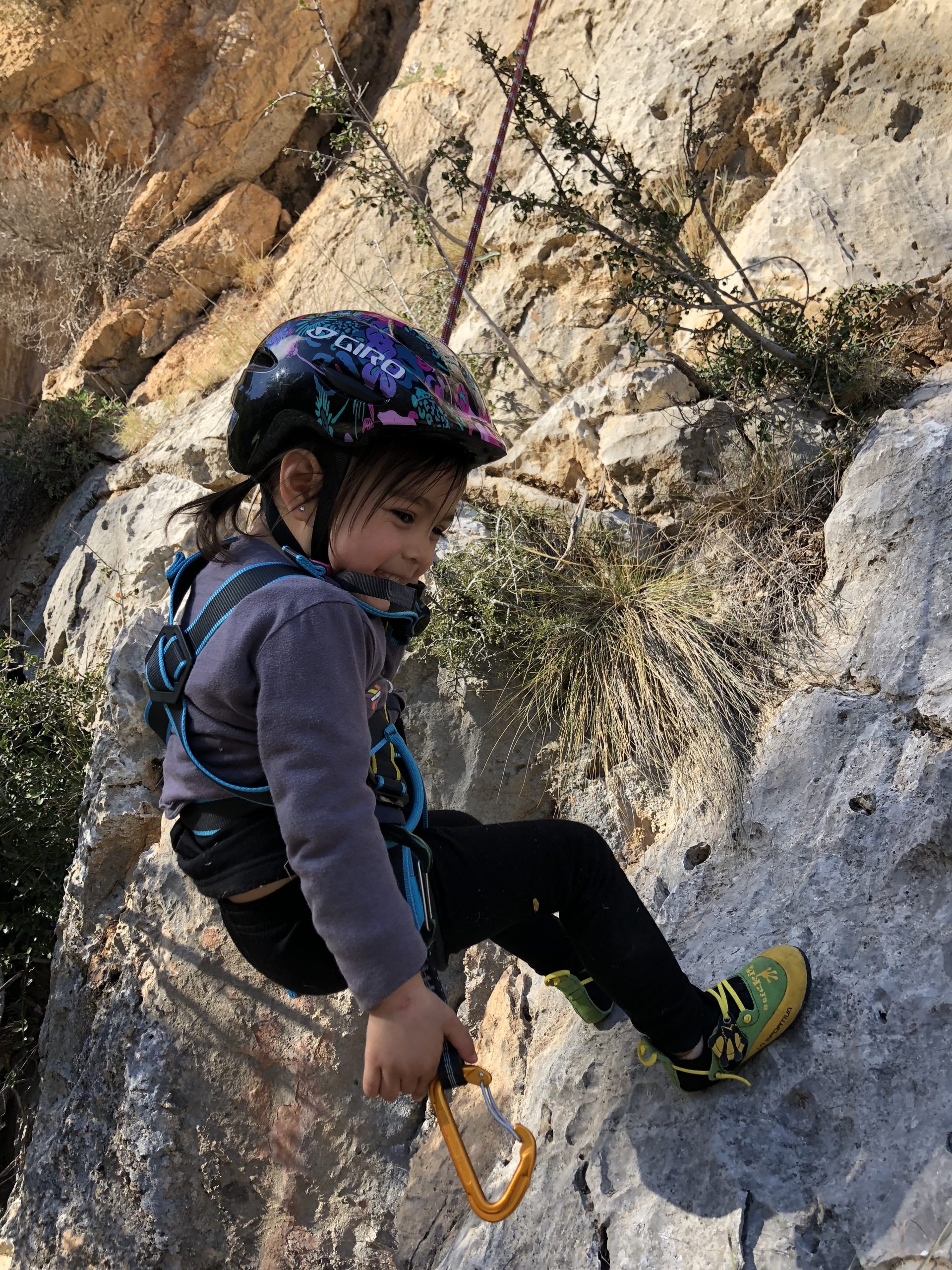 Beginner's Guide to Rock Climbing with Kids Grow Adventures